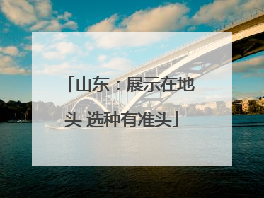 山东：展示在地头 选种有准头