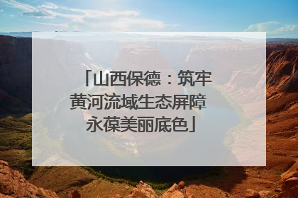 山西保德：筑牢黄河流域生态屏障 永葆美丽底色