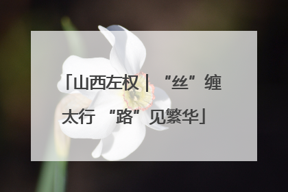 山西左权｜“丝”缠太行 “路”见繁华
