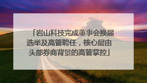 岩山科技完成董事会换届选举及高管聘任，核心层由头部券商背景的高管掌控