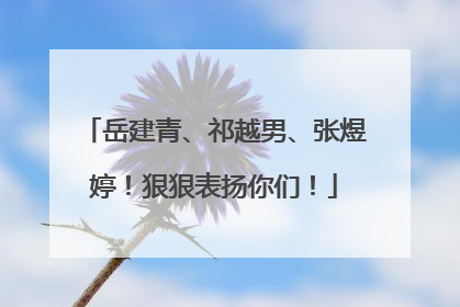 岳建青、祁越男、张煜婷！狠狠表扬你们！