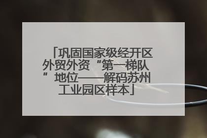 巩固国家级经开区外贸外资“第一梯队”地位——解码苏州工业园区样本