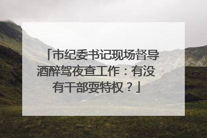 市纪委书记现场督导酒醉驾夜查工作：有没有干部耍特权？