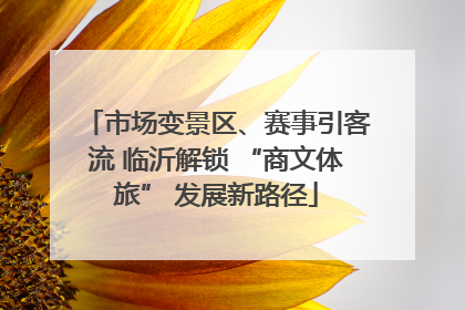 市场变景区、赛事引客流 临沂解锁 “商文体旅” 发展新路径