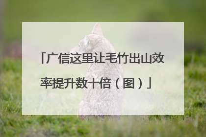 广信这里让毛竹出山效率提升数十倍（图）