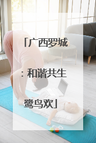 广西罗城：和谐共生鹭鸟欢
