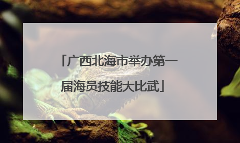 广西北海市举办第一届海员技能大比武