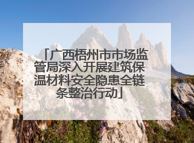 广西梧州市市场监管局深入开展建筑保温材料安全隐患全链条整治行动