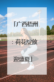 广西梧州：荷花绽放迎盛夏