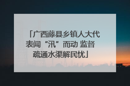广西藤县乡镇人大代表闻“汛”而动 监督疏通水渠解民忧