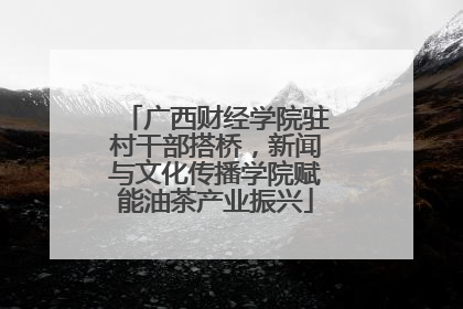 广西财经学院驻村干部搭桥，新闻与文化传播学院赋能油茶产业振兴