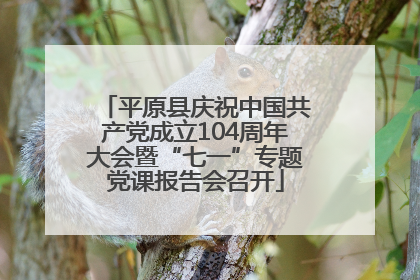平原县庆祝中国共产党成立104周年大会暨“七一”专题党课报告会召开