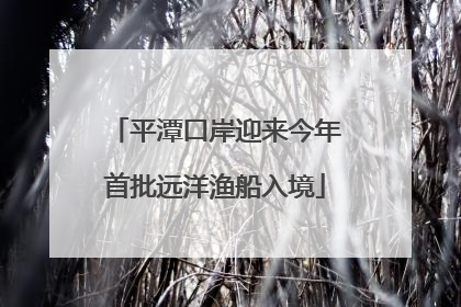 平潭口岸迎来今年首批远洋渔船入境