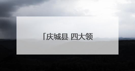 庆城县 四大领域同步发力 项目建设赋能发展