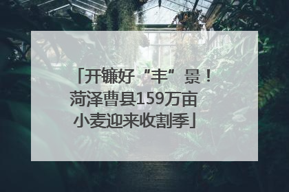 开镰好“丰”景！菏泽曹县159万亩小麦迎来收割季