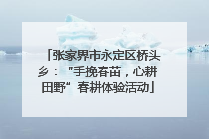 张家界市永定区桥头乡：“手挽春苗，心耕田野”春耕体验活动