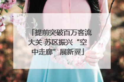 提前突破百万客流大关 苏区振兴“空中走廊”展新翼