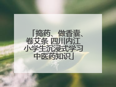 捣药、做香囊、卷艾条 四川内江小学生沉浸式学习中医药知识