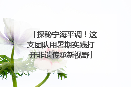 探秘宁海平调！这支团队用暑期实践打开非遗传承新视野