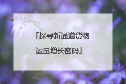 探寻新通道货物运量增长密码