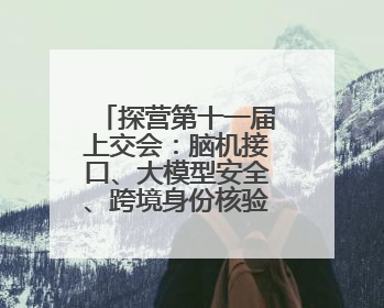 探营第十一届上交会：脑机接口、大模型安全、跨境身份核验等新技术将悉数亮相