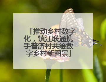 推动乡村数字化，镇江联通携手普济村共绘数字乡村新图景
