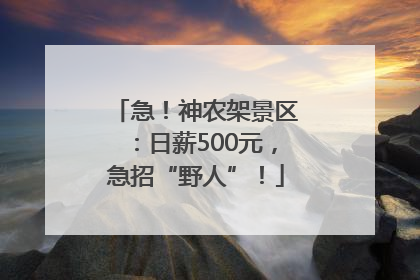 急！神农架景区：日薪500元，急招“野人”！