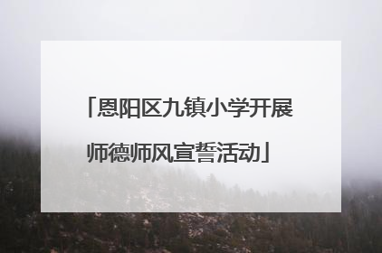 恩阳区九镇小学开展师德师风宣誓活动