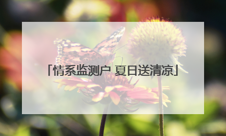 情系监测户 夏日送清凉