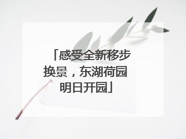 感受全新移步换景，东湖荷园明日开园