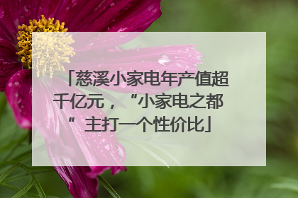 慈溪小家电年产值超千亿元，“小家电之都”主打一个性价比