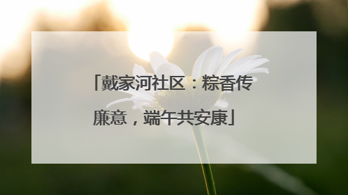 戴家河社区：粽香传廉意，端午共安康