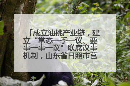 成立油桃产业链，建立“常态一季一议、要事一事一议”联席议事机制，山东省日照市莒县果庄镇——13个党小组“全周期”育果
