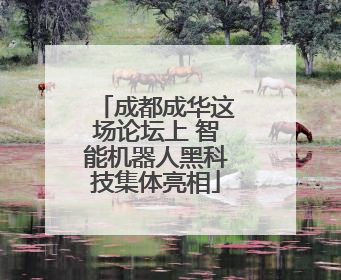 成都成华这场论坛上 智能机器人黑科技集体亮相