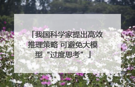 我国科学家提出高效推理策略 可避免大模型“过度思考”