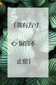 我有方寸心 铜官不止窑