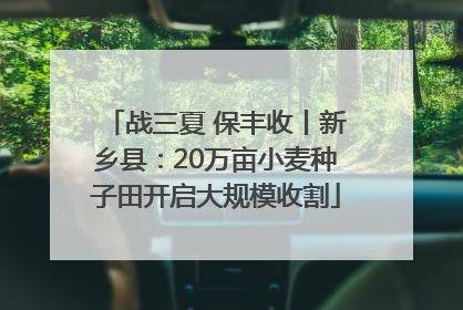 战三夏 保丰收丨新乡县：20万亩小麦种子田开启大规模收割