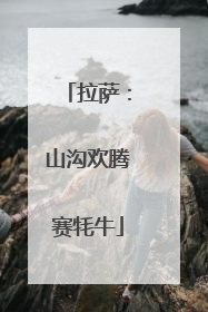 拉萨：山沟欢腾赛牦牛