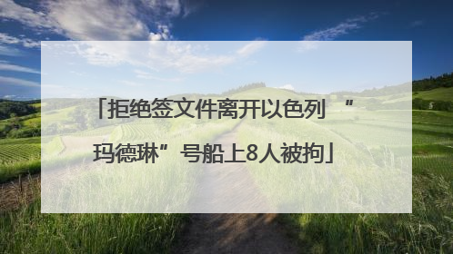 拒绝签文件离开以色列 “玛德琳”号船上8人被拘