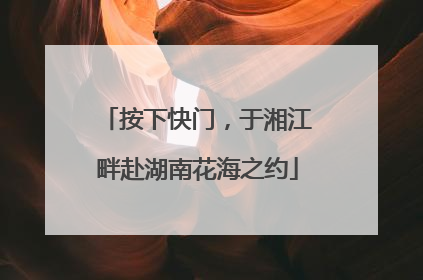 按下快门，于湘江畔赴湖南花海之约