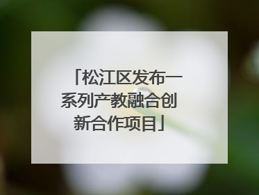 松江区发布一系列产教融合创新合作项目