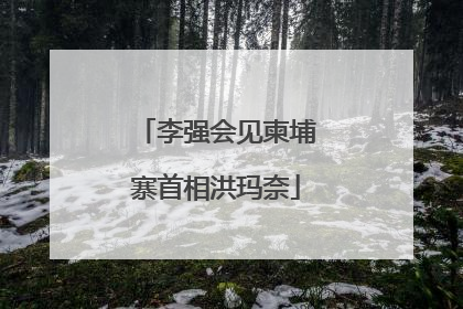 李强会见柬埔寨首相洪玛奈