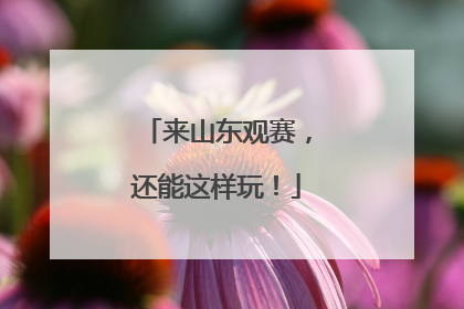 来山东观赛，还能这样玩！