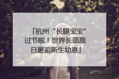 杭州“长腿宝宝”过节啦！世界长颈鹿日邂逅新生幼崽