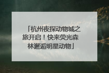 杭州夜探动物城之旅开启！快来荧光森林邂逅明星动物