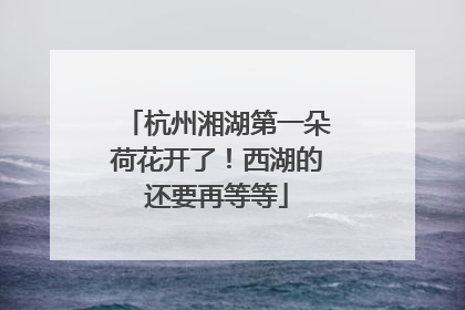 杭州湘湖第一朵荷花开了！西湖的还要再等等