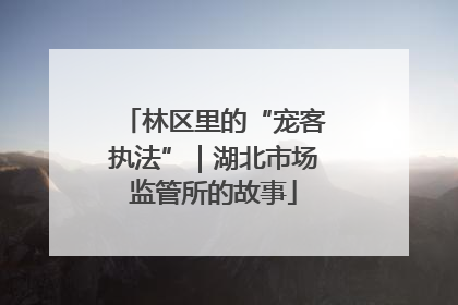 林区里的“宠客执法”｜湖北市场监管所的故事
