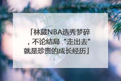 林葳NBA选秀梦碎，不论结局“走出去”就是珍贵的成长经历