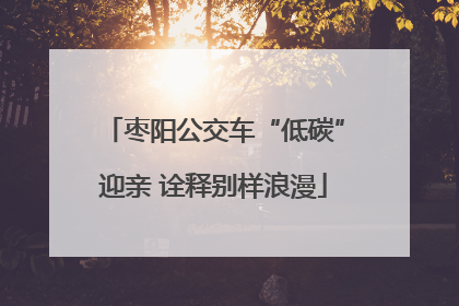 枣阳公交车“低碳”迎亲 诠释别样浪漫