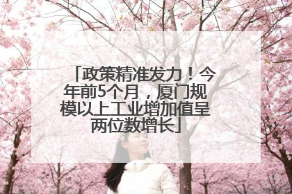 政策精准发力！今年前5个月，厦门规模以上工业增加值呈两位数增长